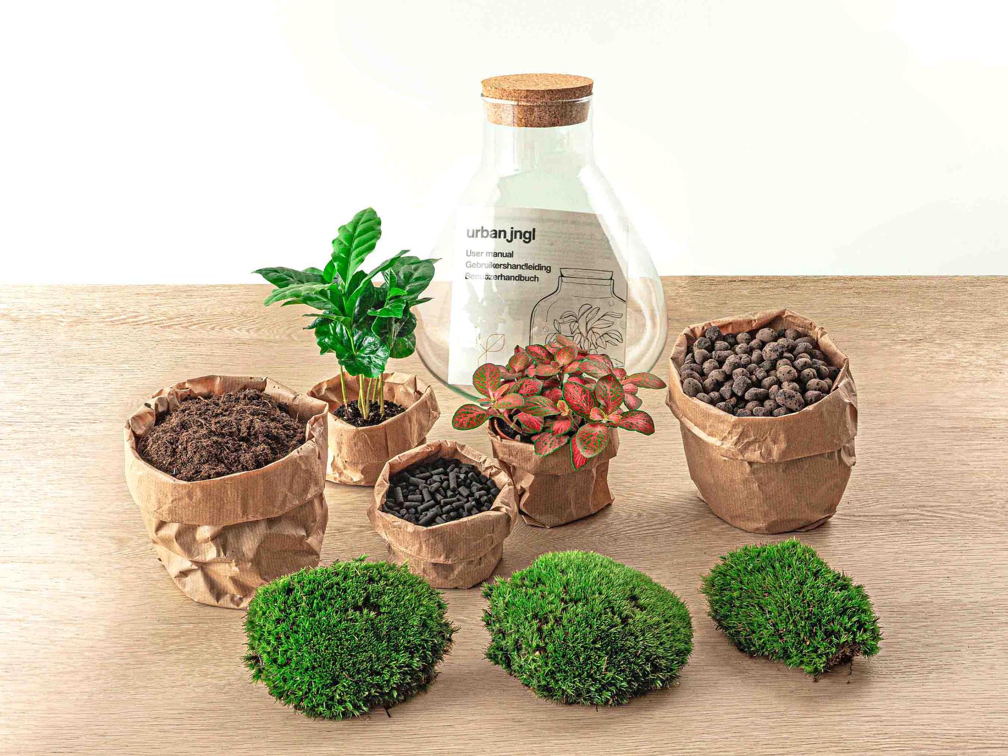 Everspring plantenterrarium met glazen fles, potgrond, planten en mos voor een groene binnentuin
