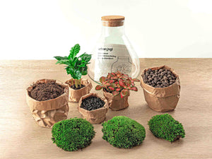 Everspring plantenterrarium met glazen fles, potgrond, planten en mos voor een groene binnentuin
