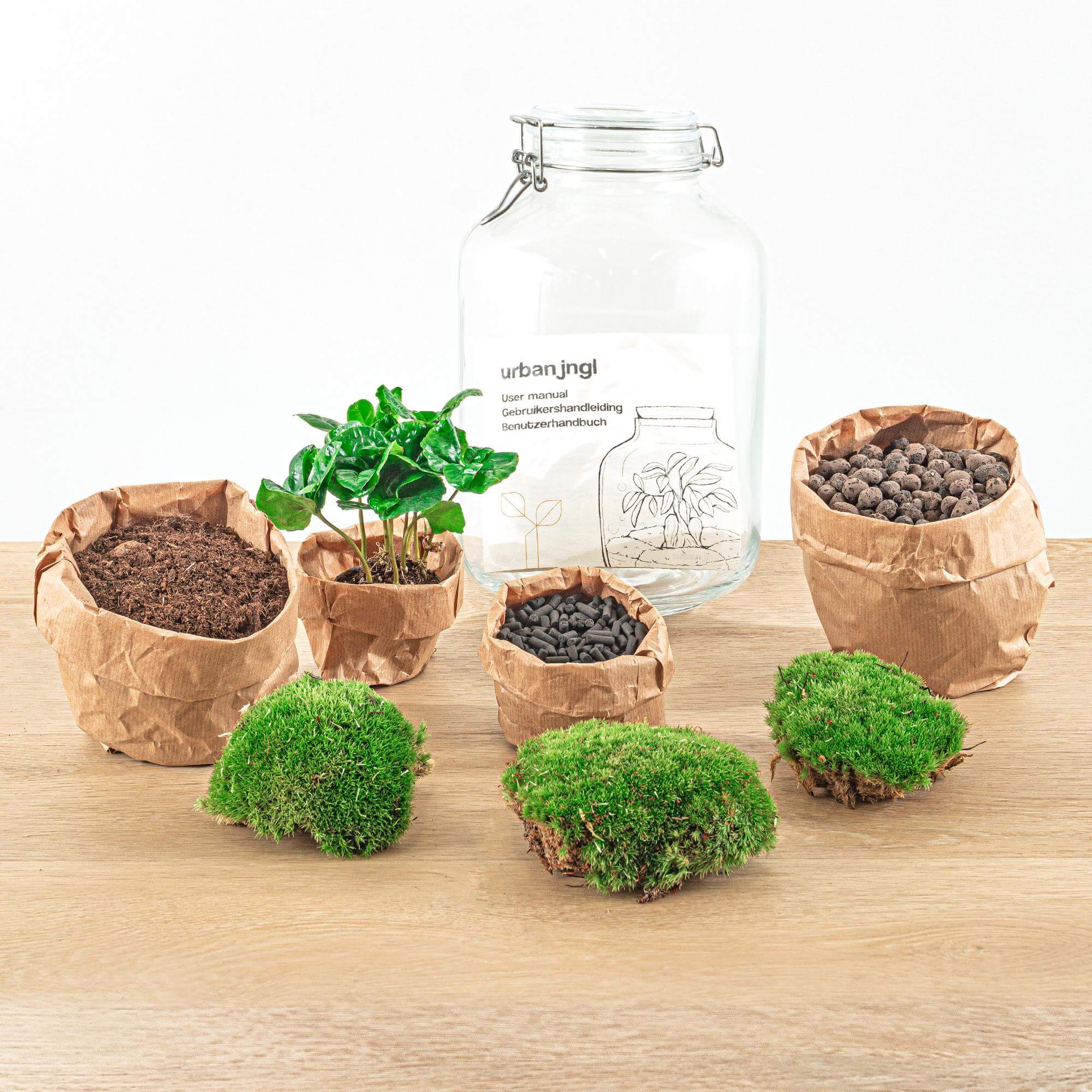 Everspring DIY terrarium kopen set met glazen pot, planten, aarde en mos voor terrarium maken