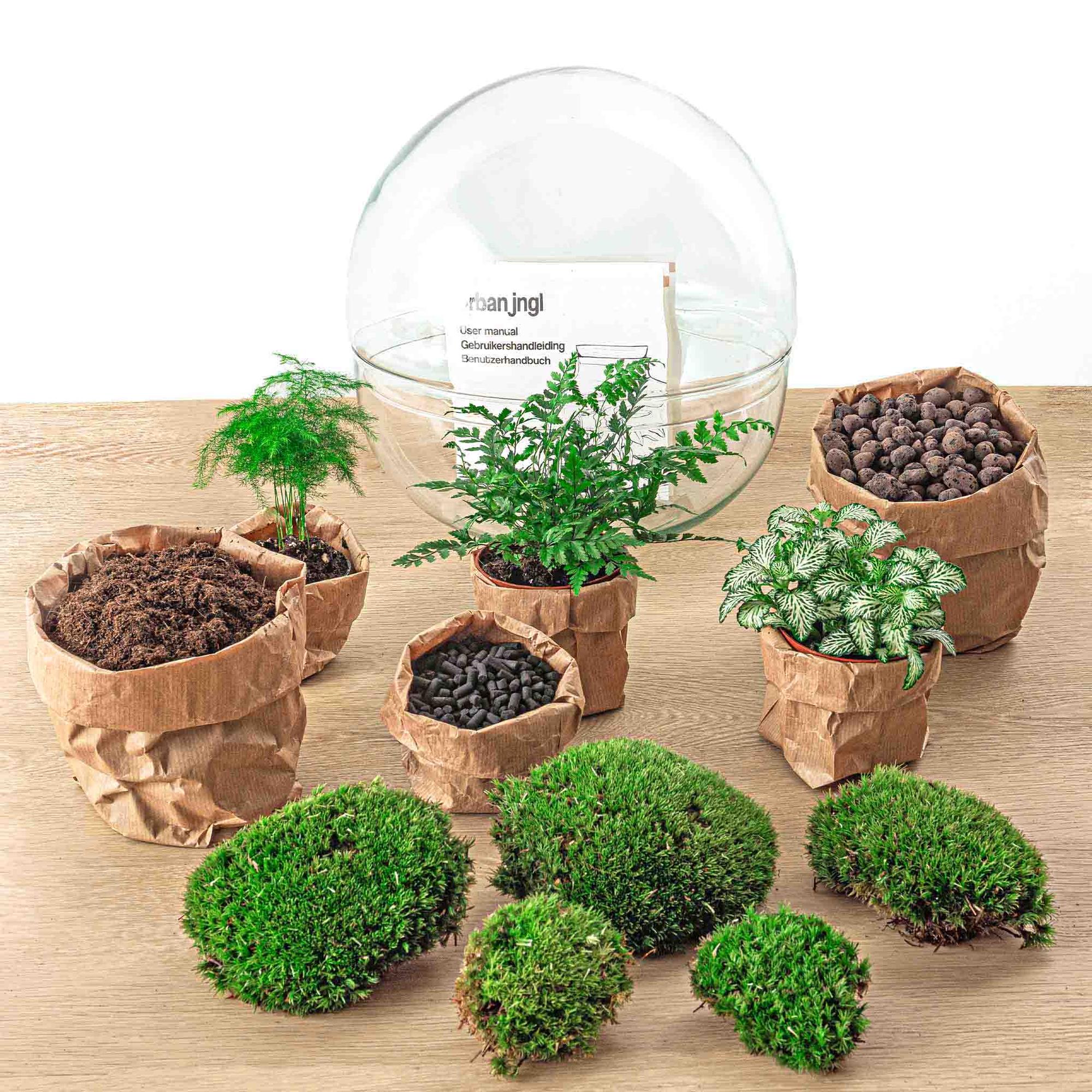 Everspring planten assortiment met groene varens, mossen en substraat in papieren zakken op houten ondergrond