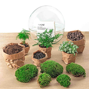 Everspring planten assortiment met groene varens, mossen en substraat in papieren zakken op houten ondergrond