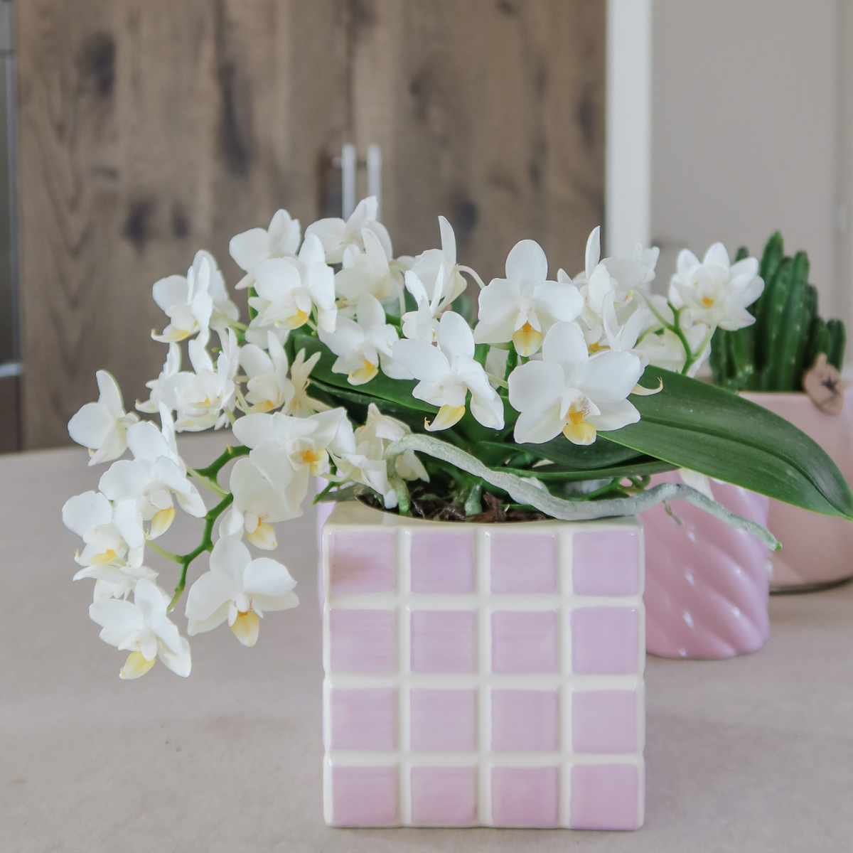 Everspring roze keramische pot met witbloeiende orchidee perfect voor binnenplantdecoratie